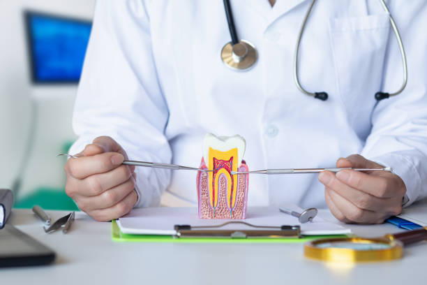 Best Cosmetic Emergency Dentistry in Bellevue, IA